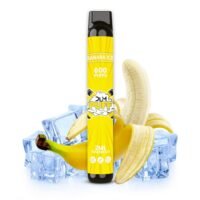 Chicha_electronique_jetable_dum_puff_banana_ice_29.2.35-15.jpg