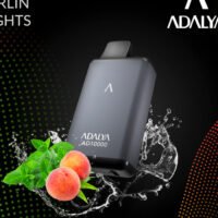 PUFF-ADALYA-10000-PUFFS-BERLIN-NIGHTS-700x933